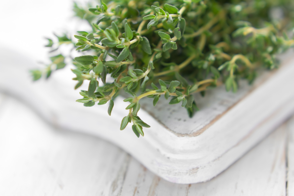 Thyme