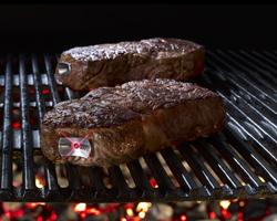 Gegrilltes Fleisch ist wohl das beste Beispiel für die Maillard Reaktion