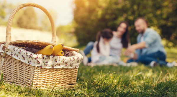 Was gehört in einen Picknickkorb?